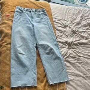Madewell The Perfect Vintage Wide Leg Crop Jean